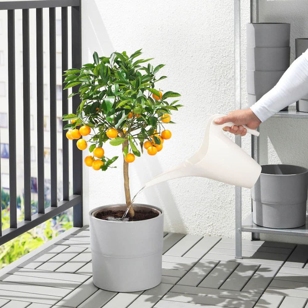 IKEA лейка для цветов