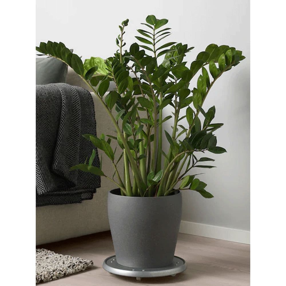 IKEA горшок для растений