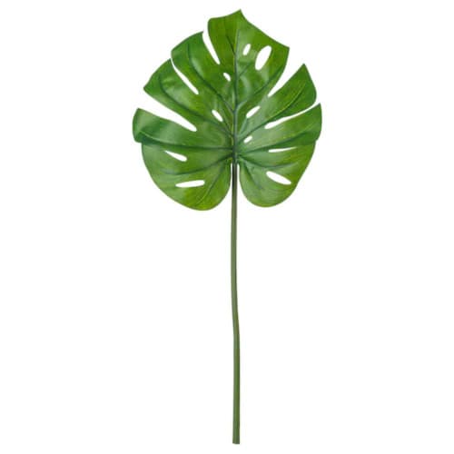 IKEA ýasama bezeg güli, monstera, ýaşyl